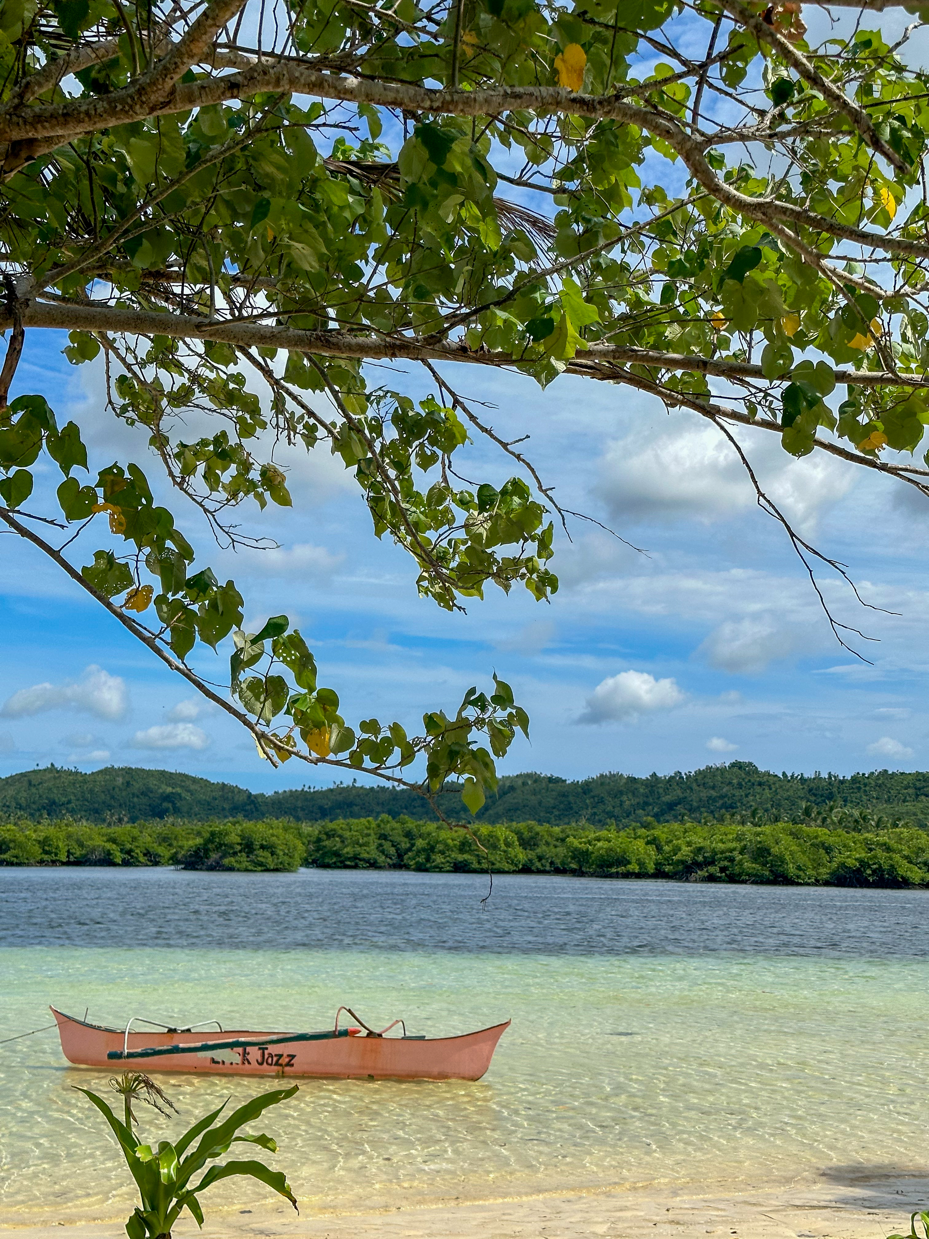 Boat under tree branches